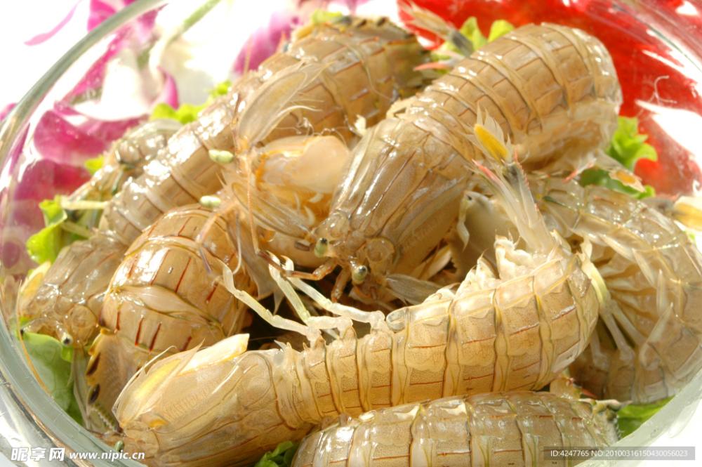 大连虾爬子