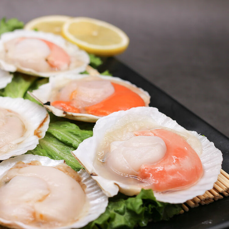 大连虾夷扇贝