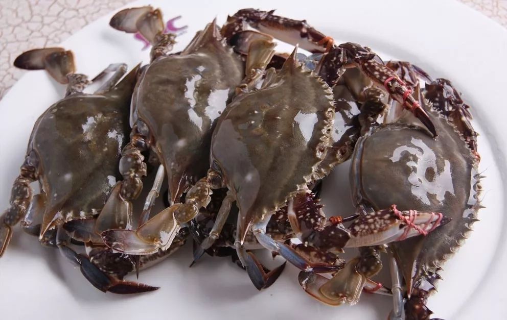 大连赤甲红螃蟹